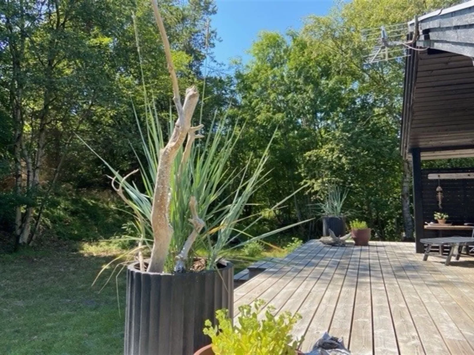 "Imma" -  from the sea-Buiten