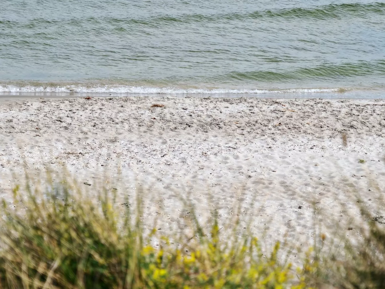 "Jerrit" - 225m from the sea-Buiten