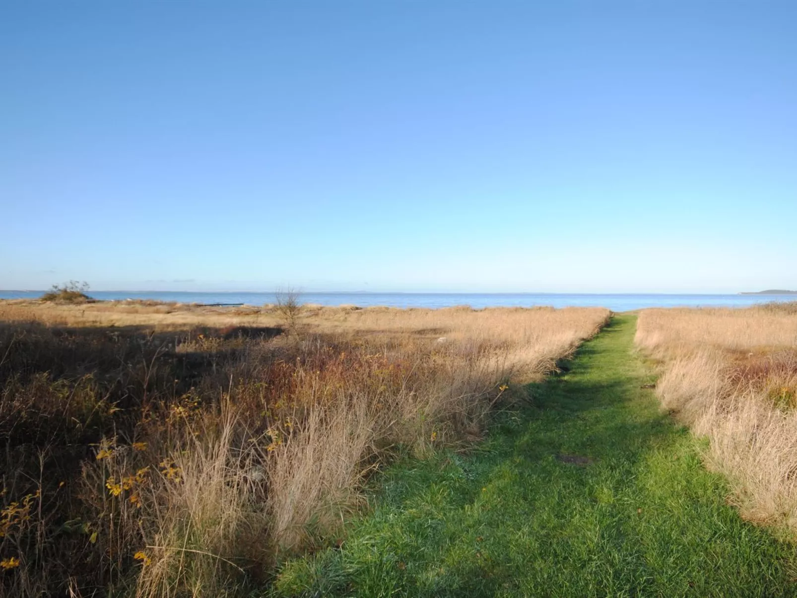 "Elis" - 90m to the fjord-Buiten