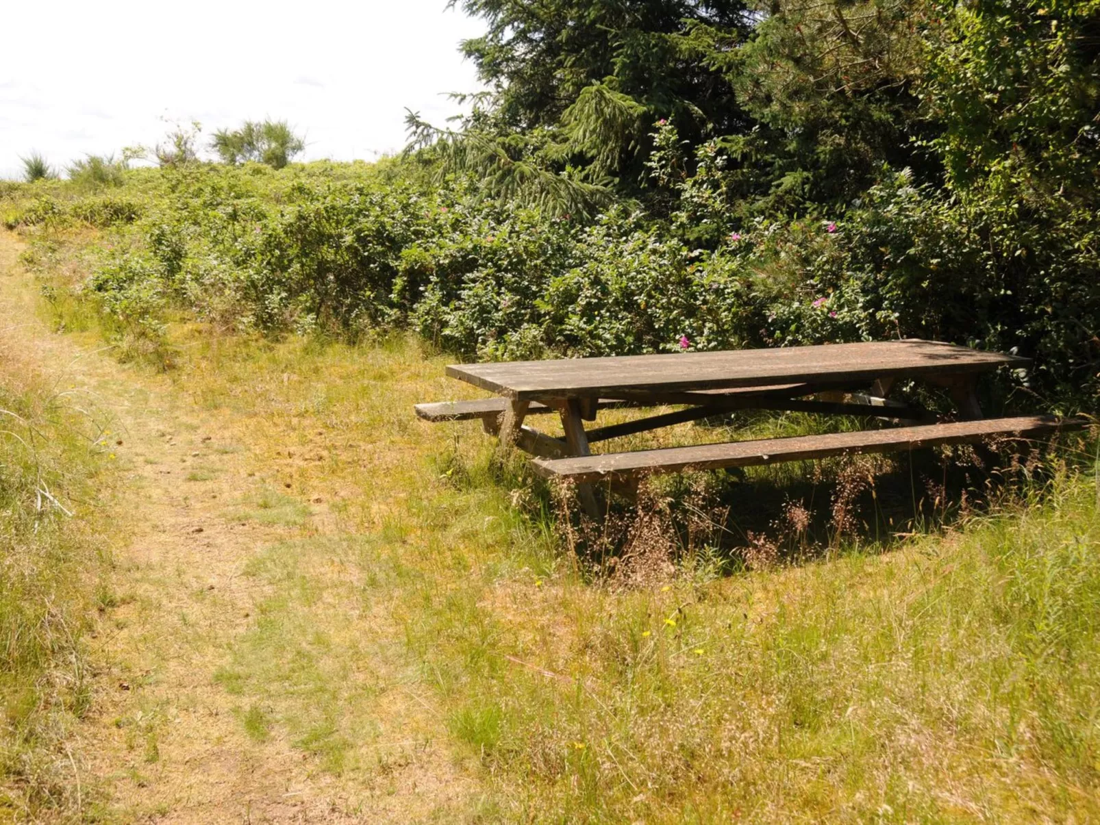 "Kalv" - 75m from the sea-Buiten