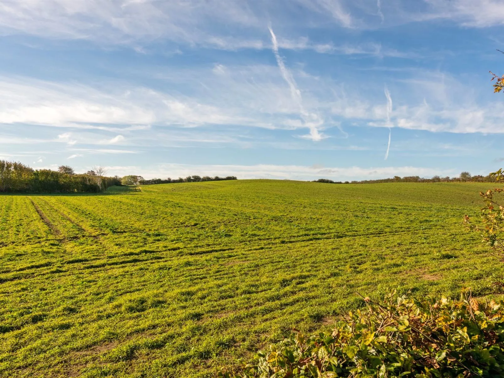 "Nica" - 100m from the sea-Buiten