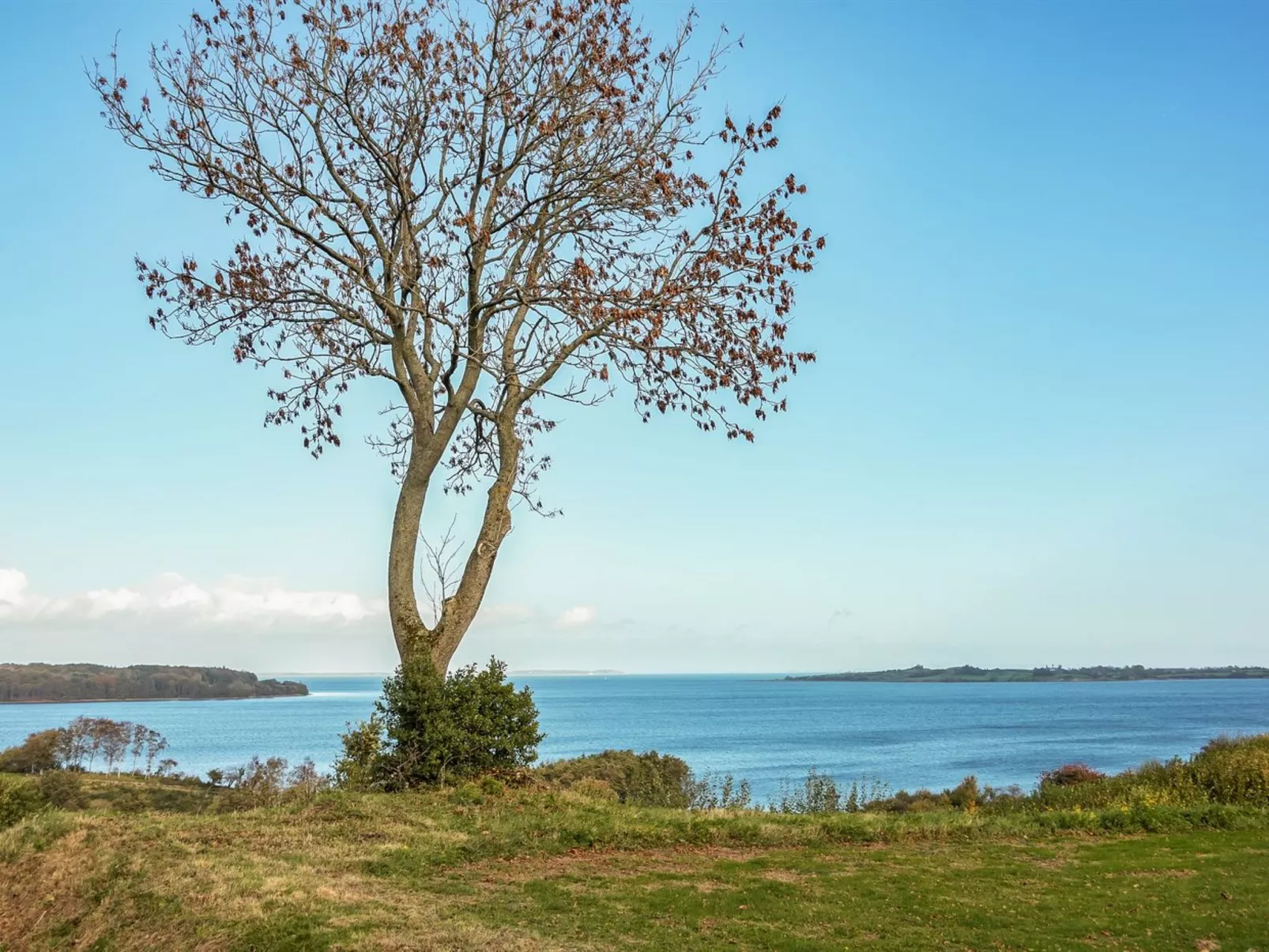 "Boris" - 500m from the sea-Buiten