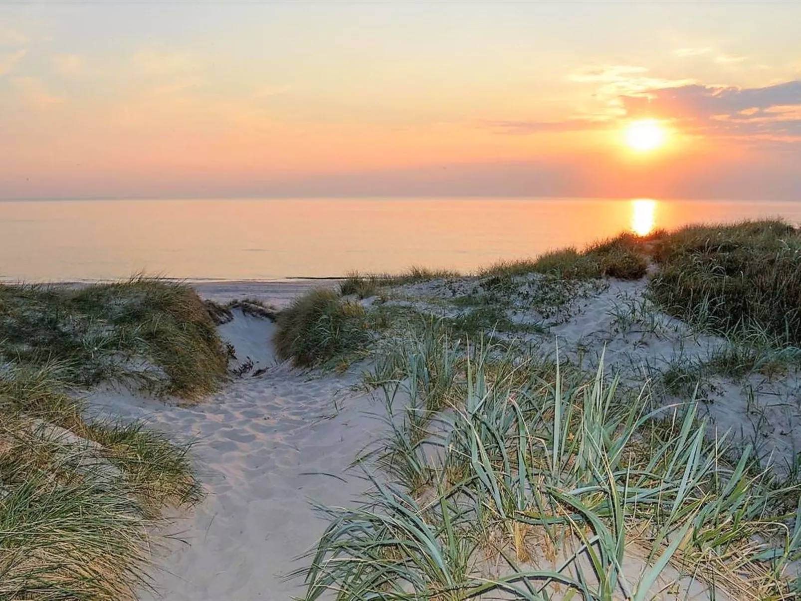 "Martinus" - 5.5km from the sea-Buiten