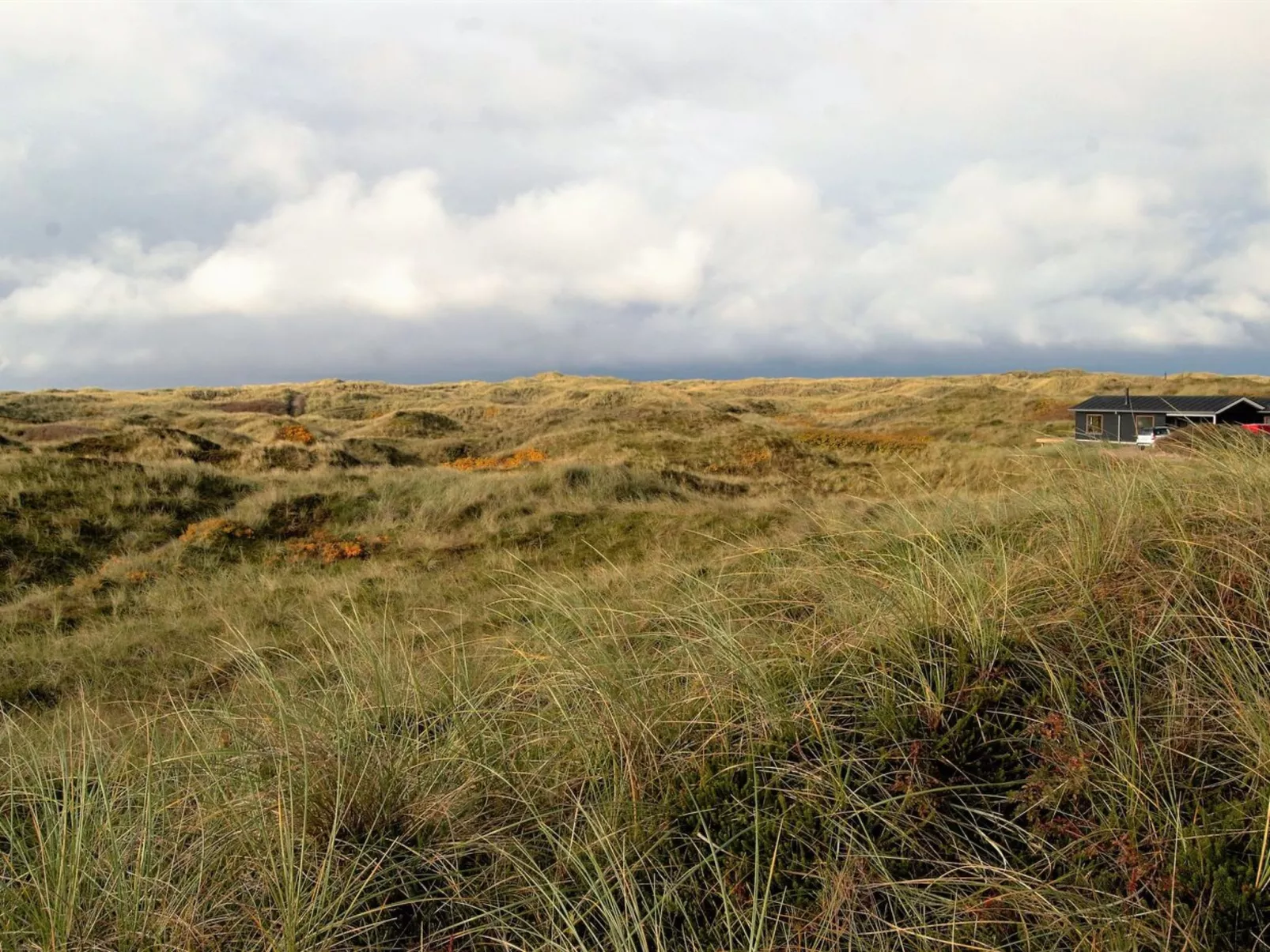 "Auli" - 200m from the sea-Buiten