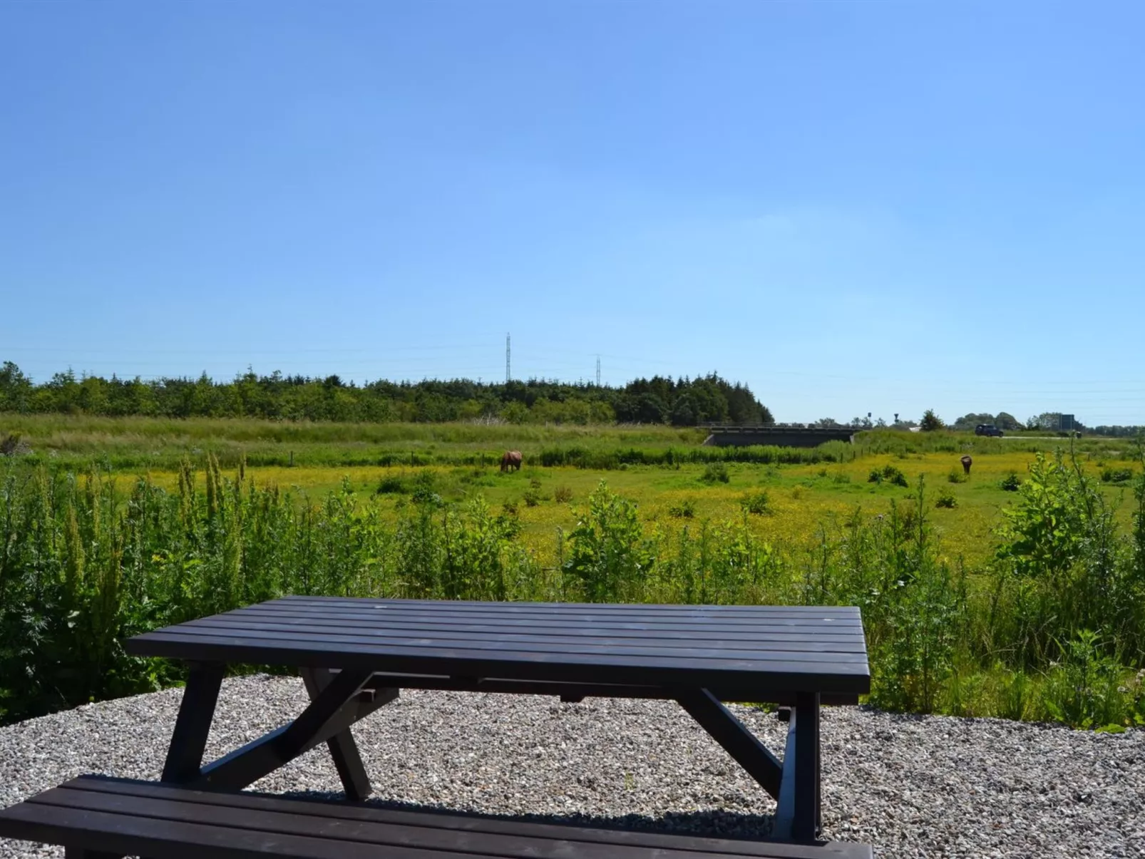 "Herman" - 22km from the sea-Buiten