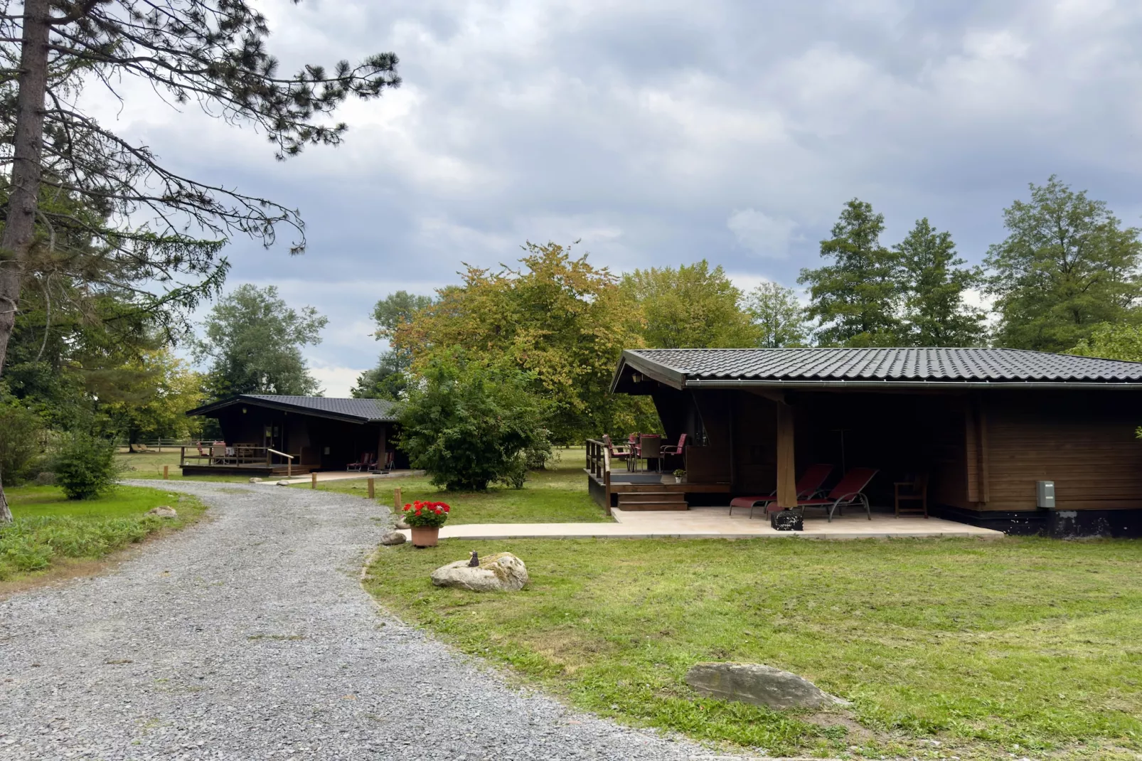 Lüneburger Heide - Uitzicht zomer