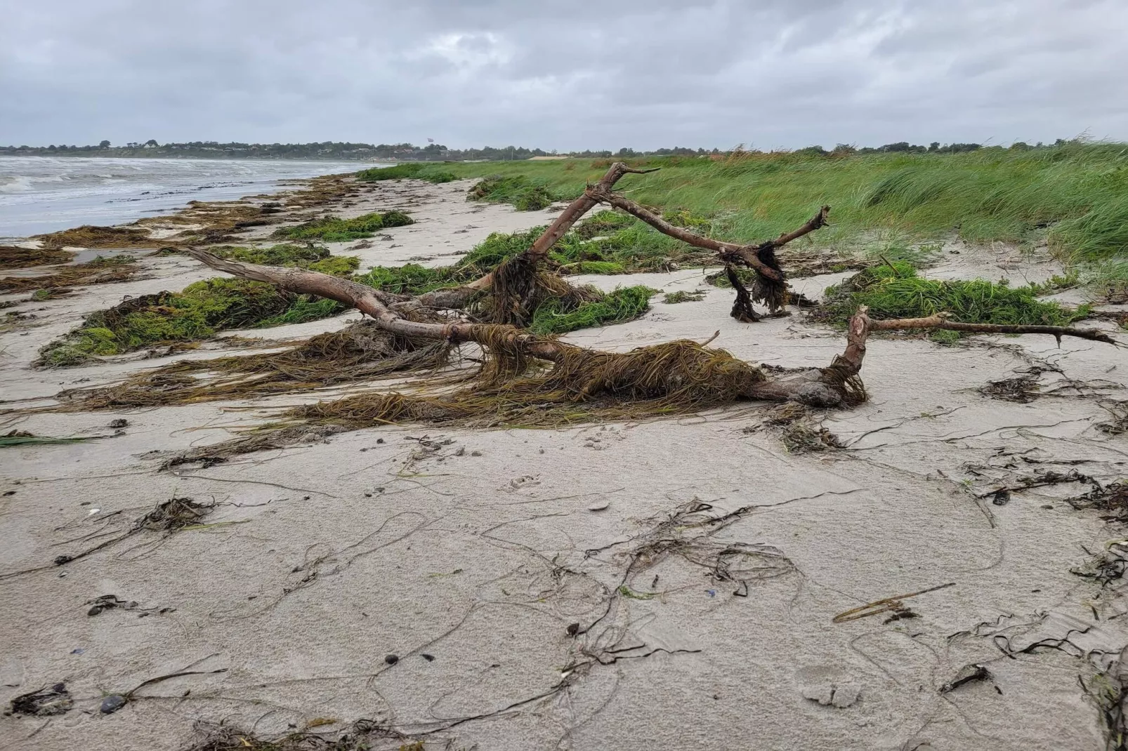 6 persoons vakantie huis in Slagelse-Waterzicht