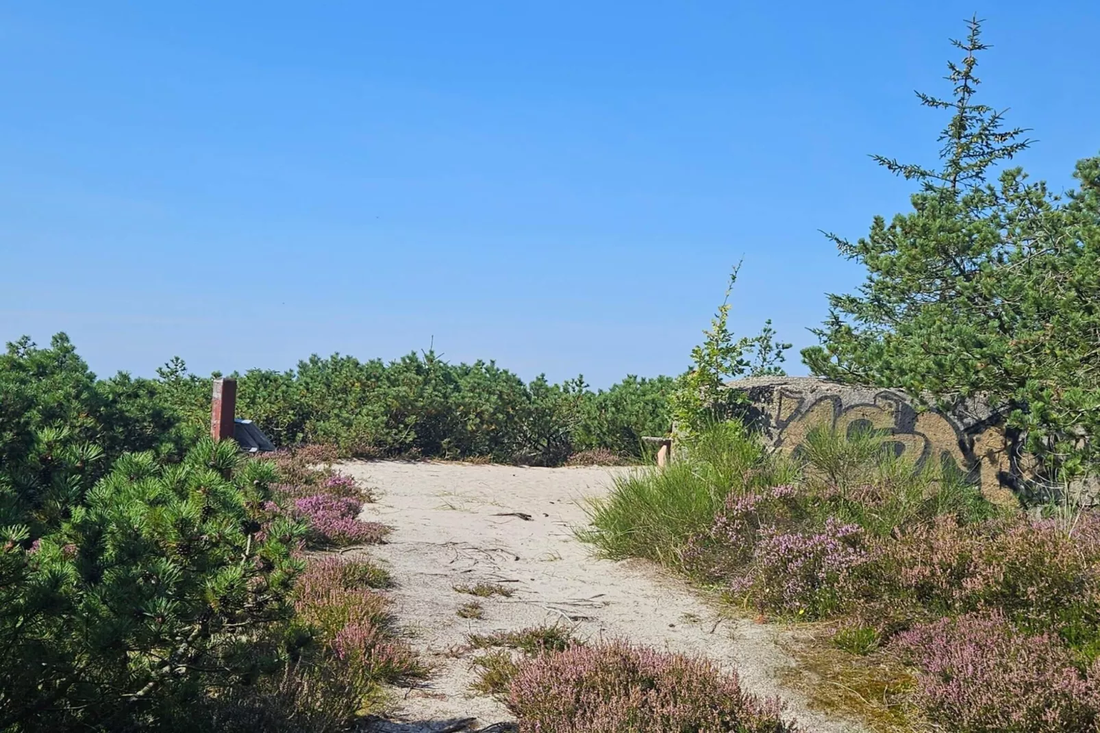 6 persoons vakantie huis in Henne-Niet-getagd