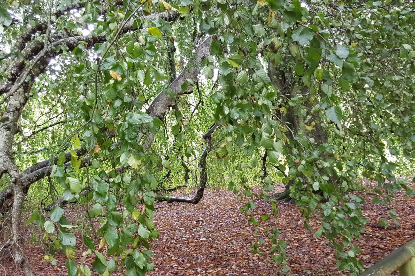 8 persoons vakantie huis in Øster Assels-By Traum-Niet-getagd