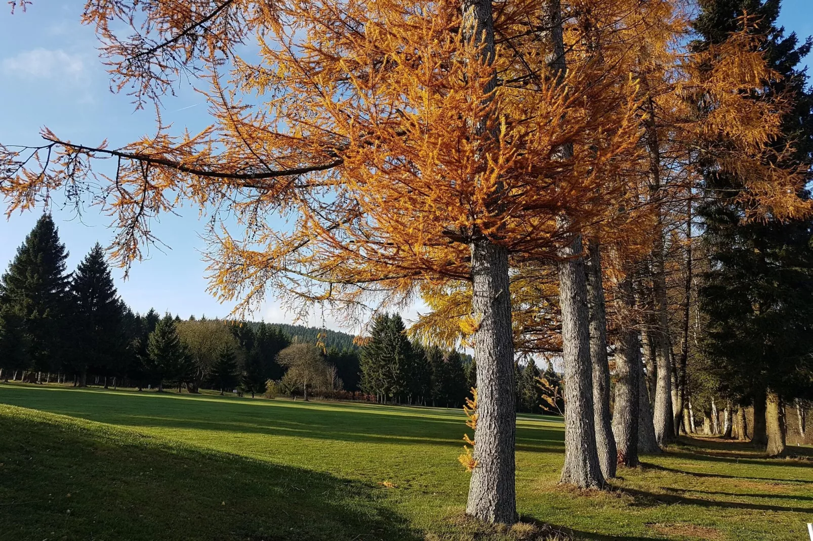 Studio Am Waltenberg 57-S-Gebieden zomer 5km