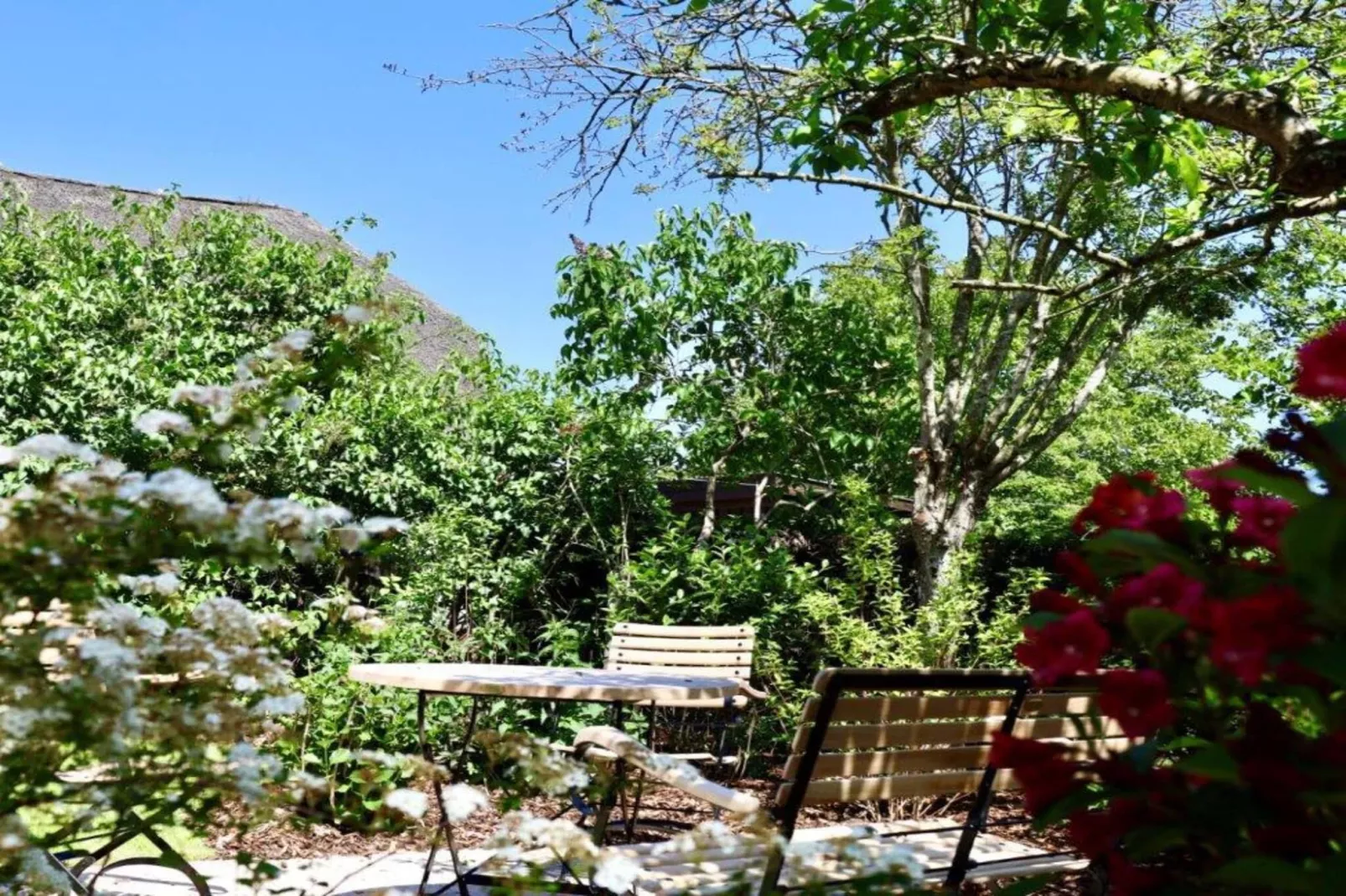 Kapteins Hüüs - ganzes Haus-Woonkamer