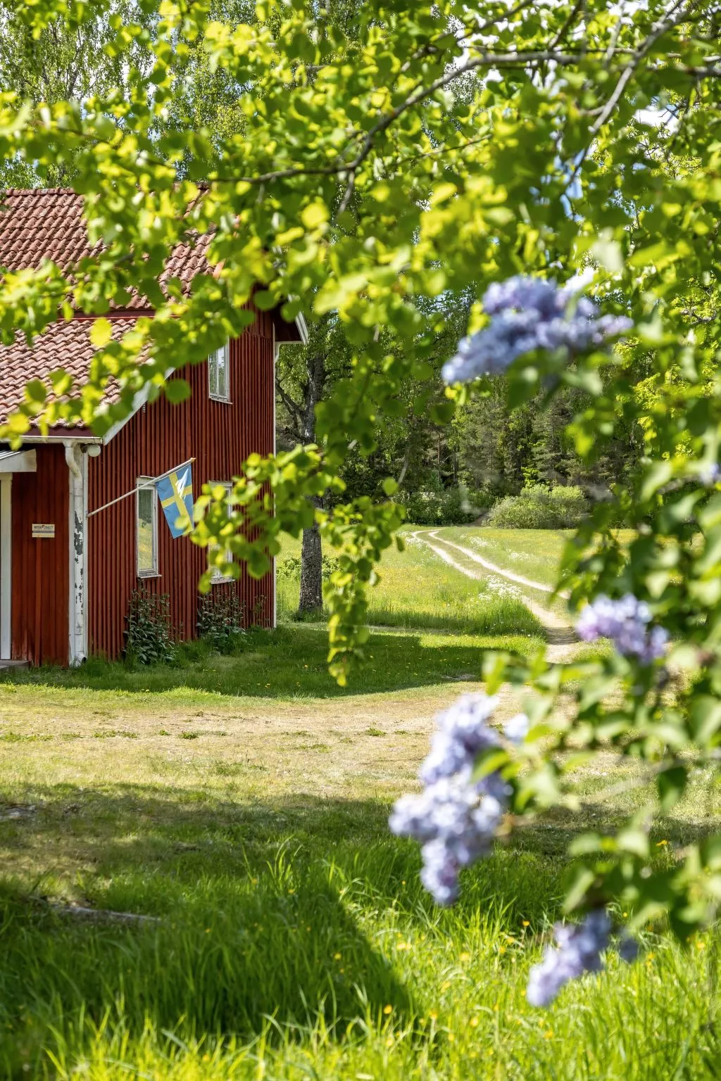 Vassviken (DAL031)-Buiten