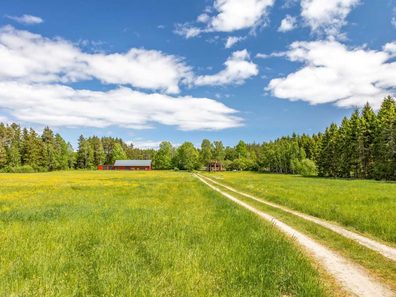 Vassviken (DAL031)-Buiten