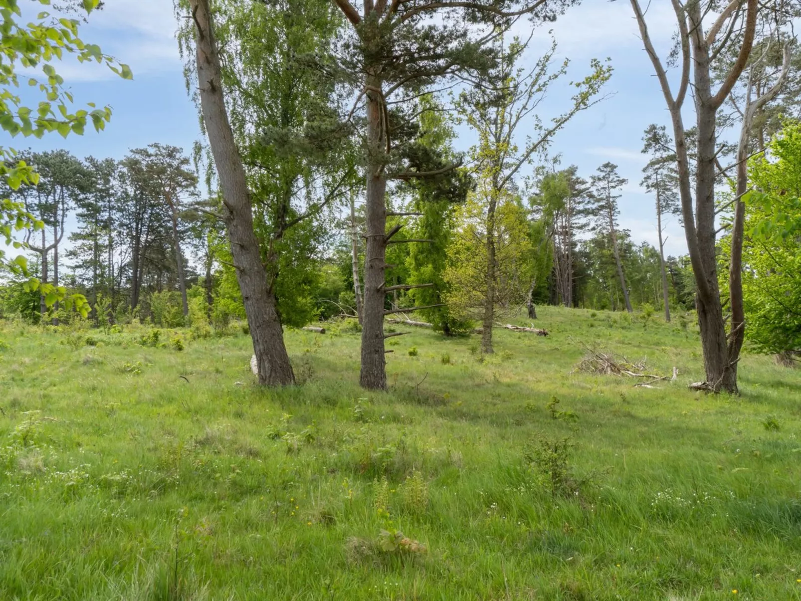 "Rami" - 2km from the sea-Buiten