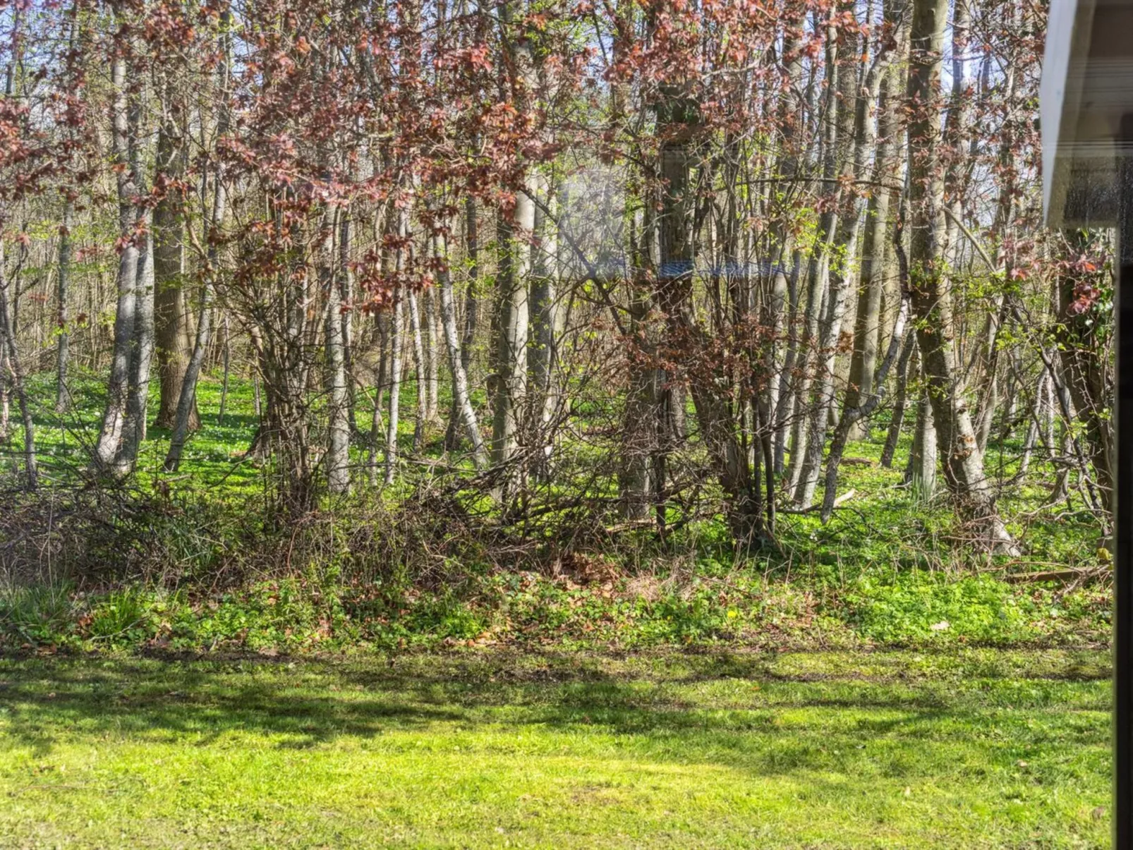 "Arnetta" - 150m from the sea-Buiten