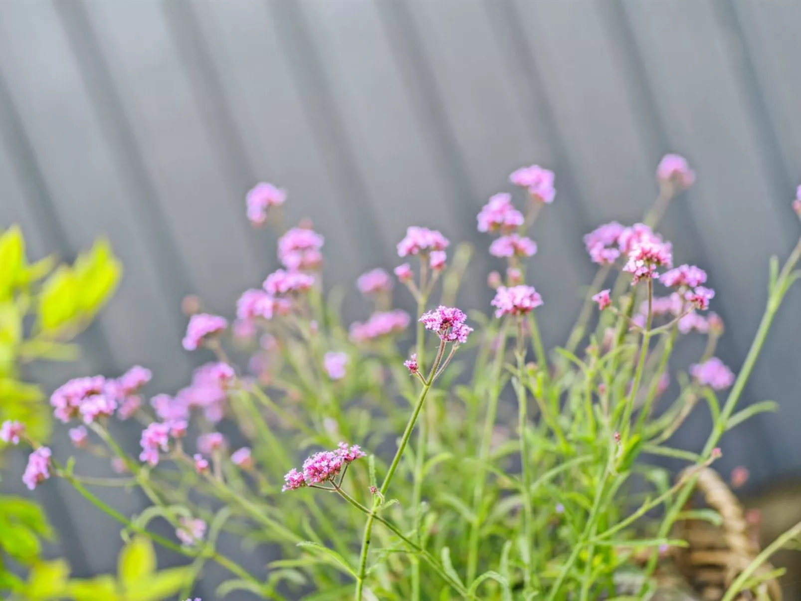 "Etel" - 600m from the sea-Buiten