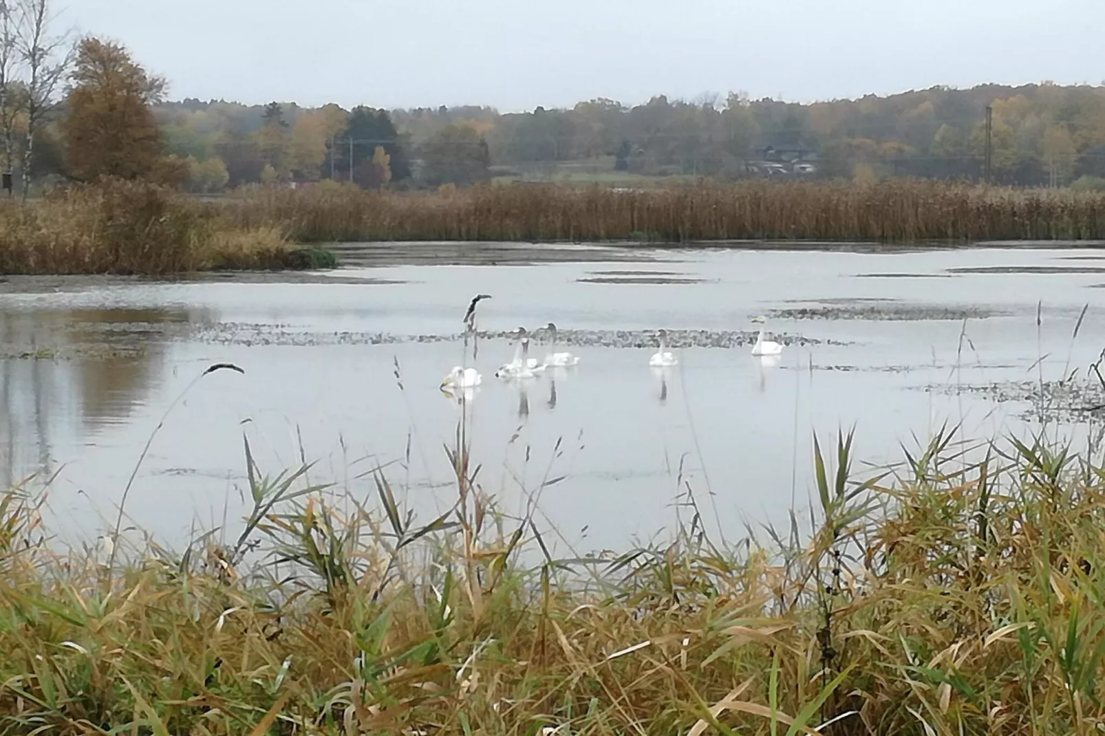 4 sterren vakantie huis in MALMKÖPING-By Traum-Waterzicht