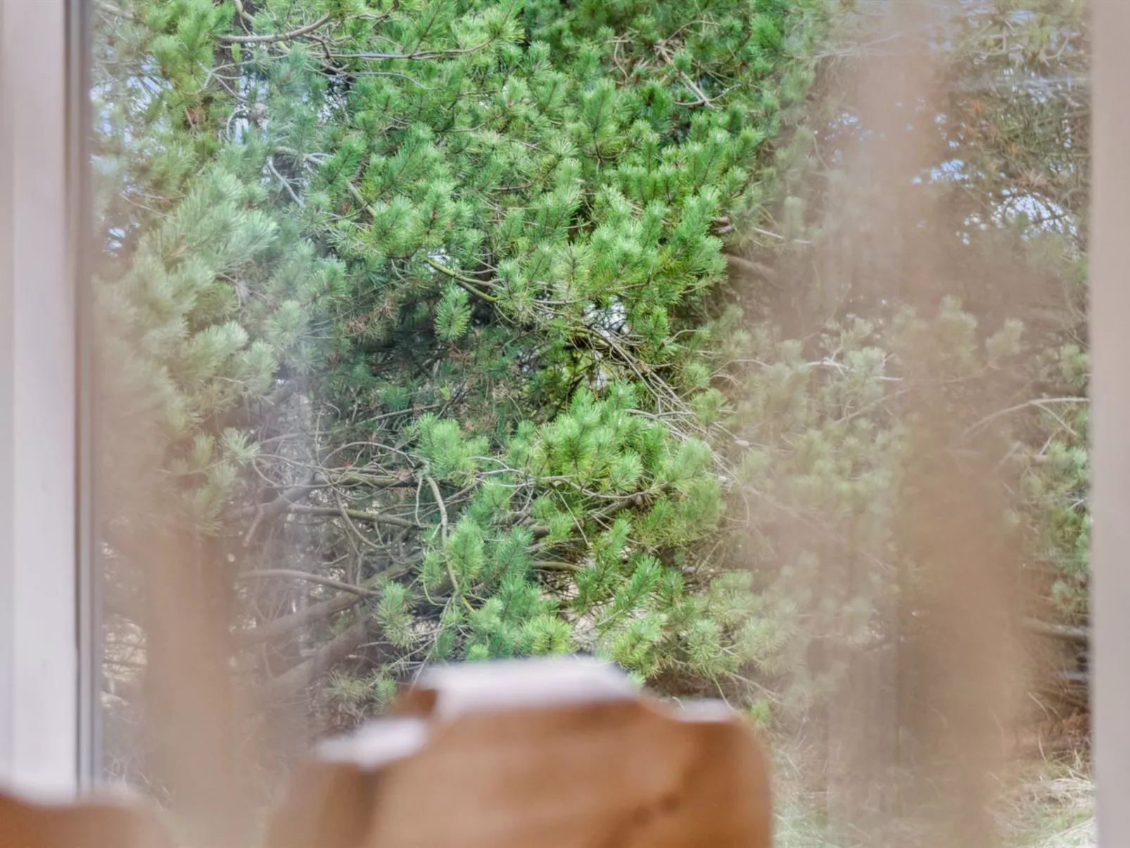 "Velika" - 1.2km from the sea-Buiten