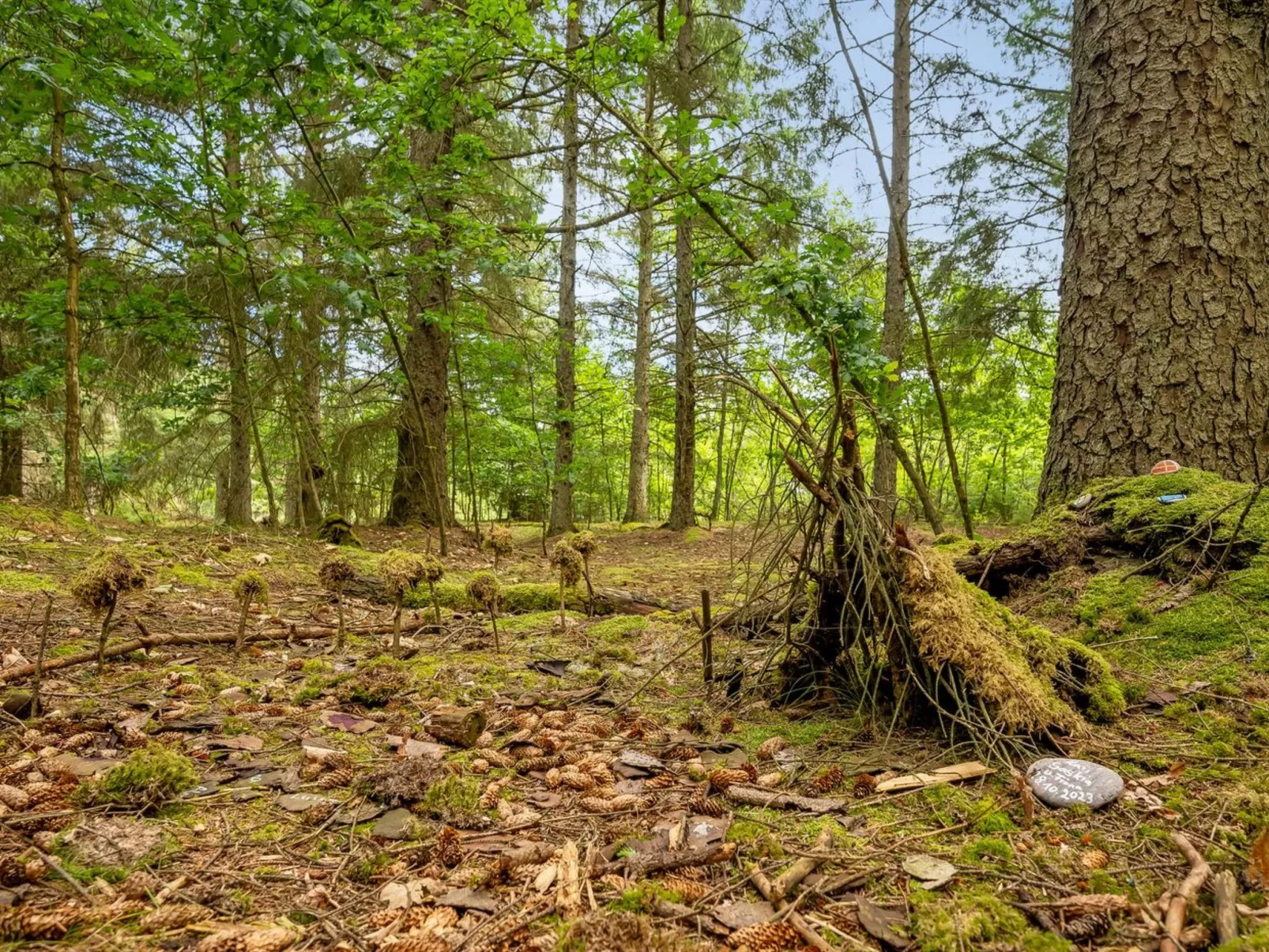 "Aurelie" -  from the sea-Buiten