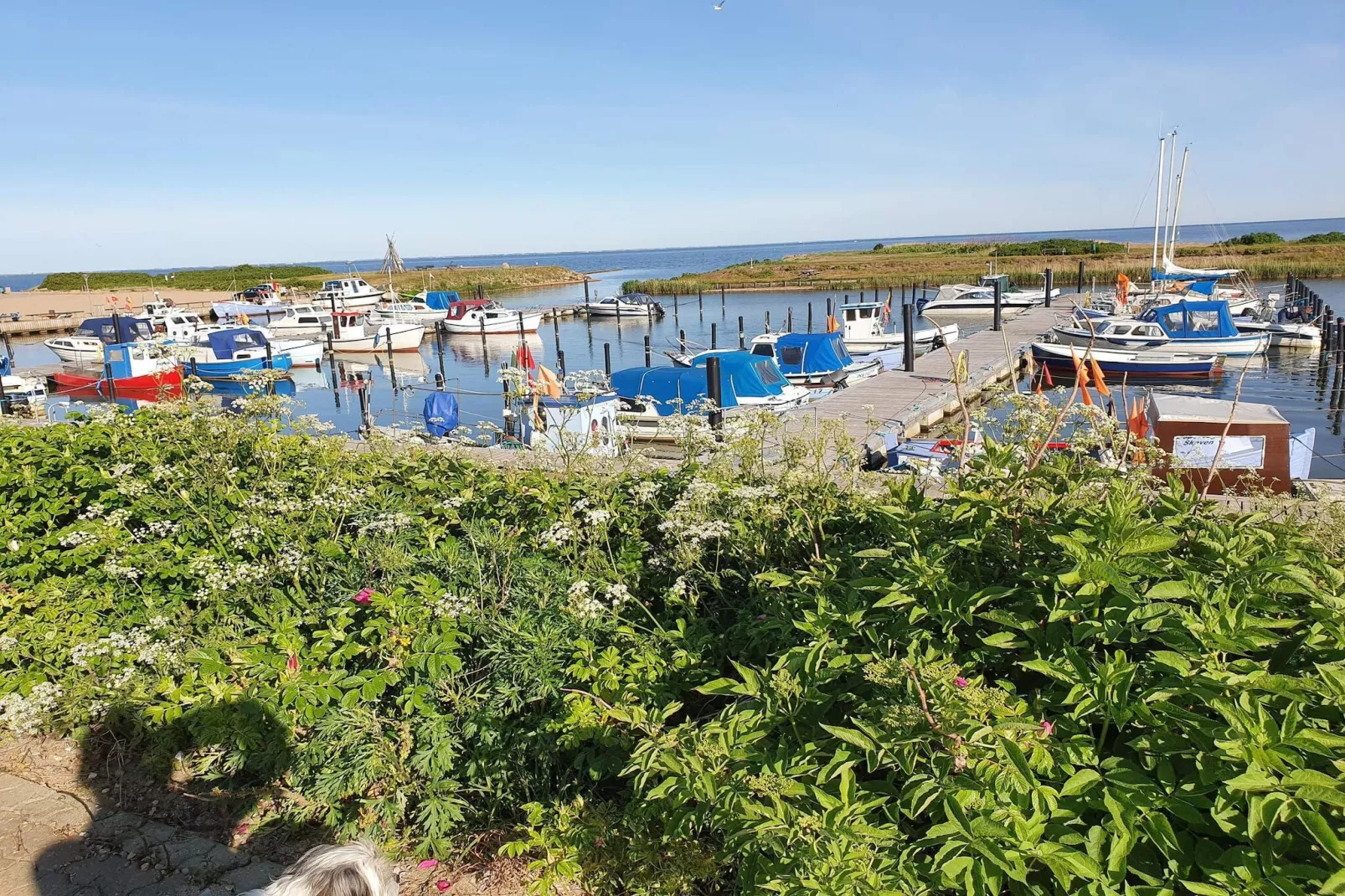 5 persoons vakantie huis in Tarm-By Traum-Waterzicht