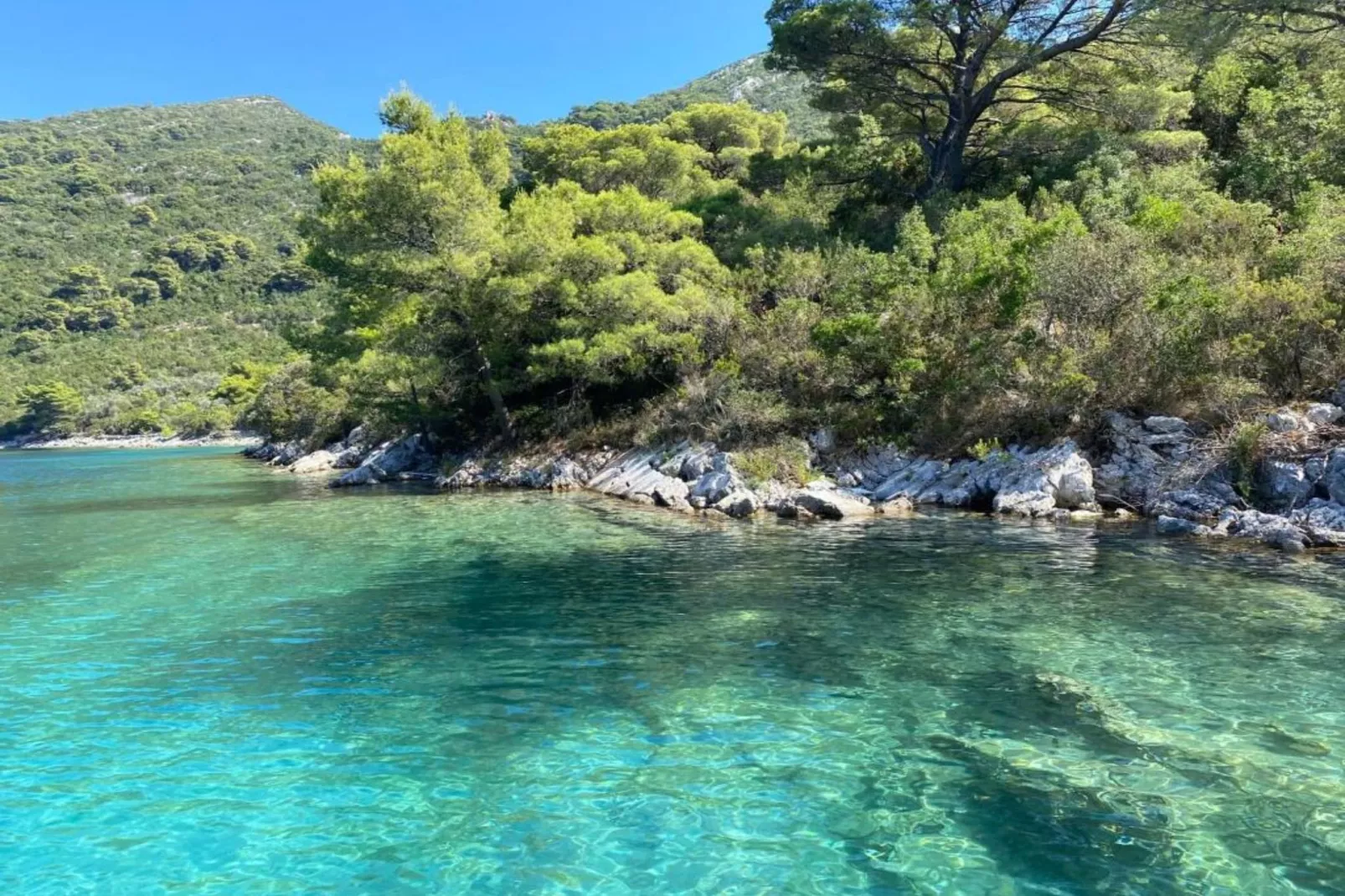 Apartments Franka Saplunara-Triple Room with Terrace and Sea View  No1-Sfeer