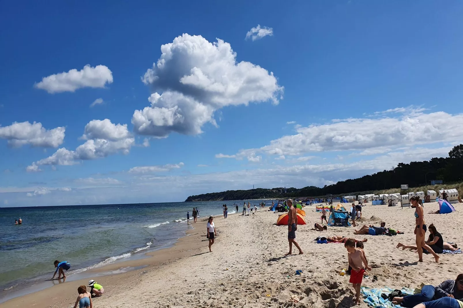 Seepark Sellin - 1 Person-Gebieden zomer 5km