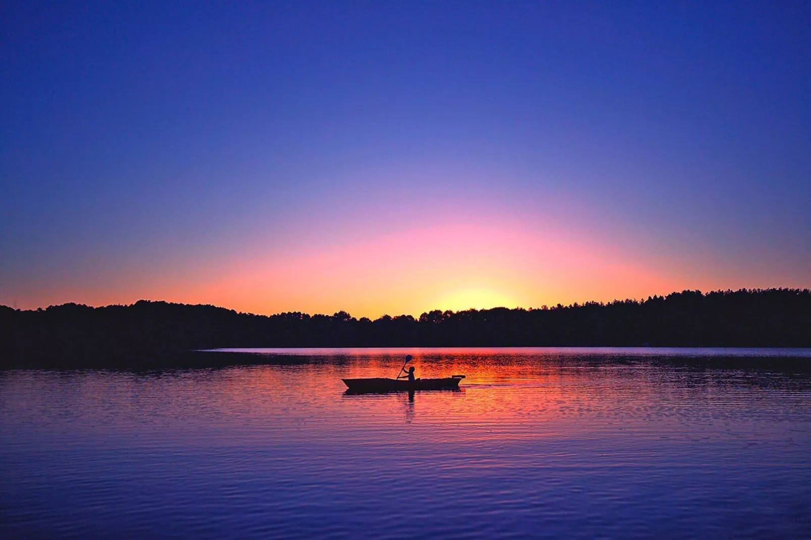 Schneeeule 209-Gebieden zomer 1km