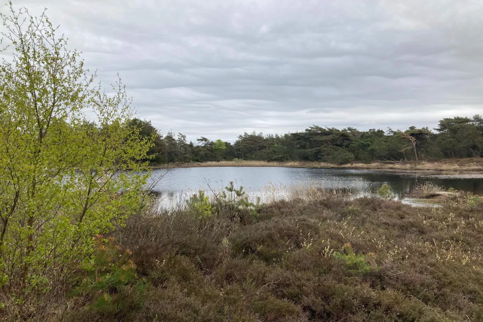 5 sterren vakantie huis in Rømø-Waterzicht