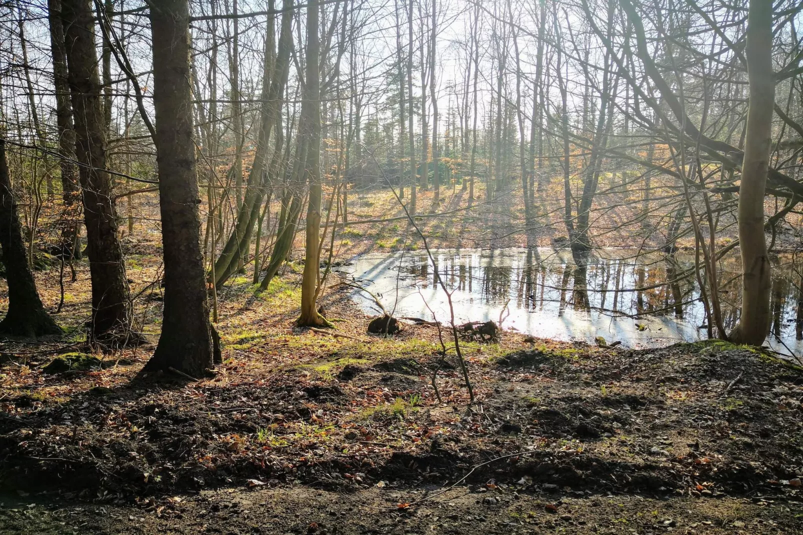 Goed onderhouden vakantiehuis in Faborg-Waterzicht