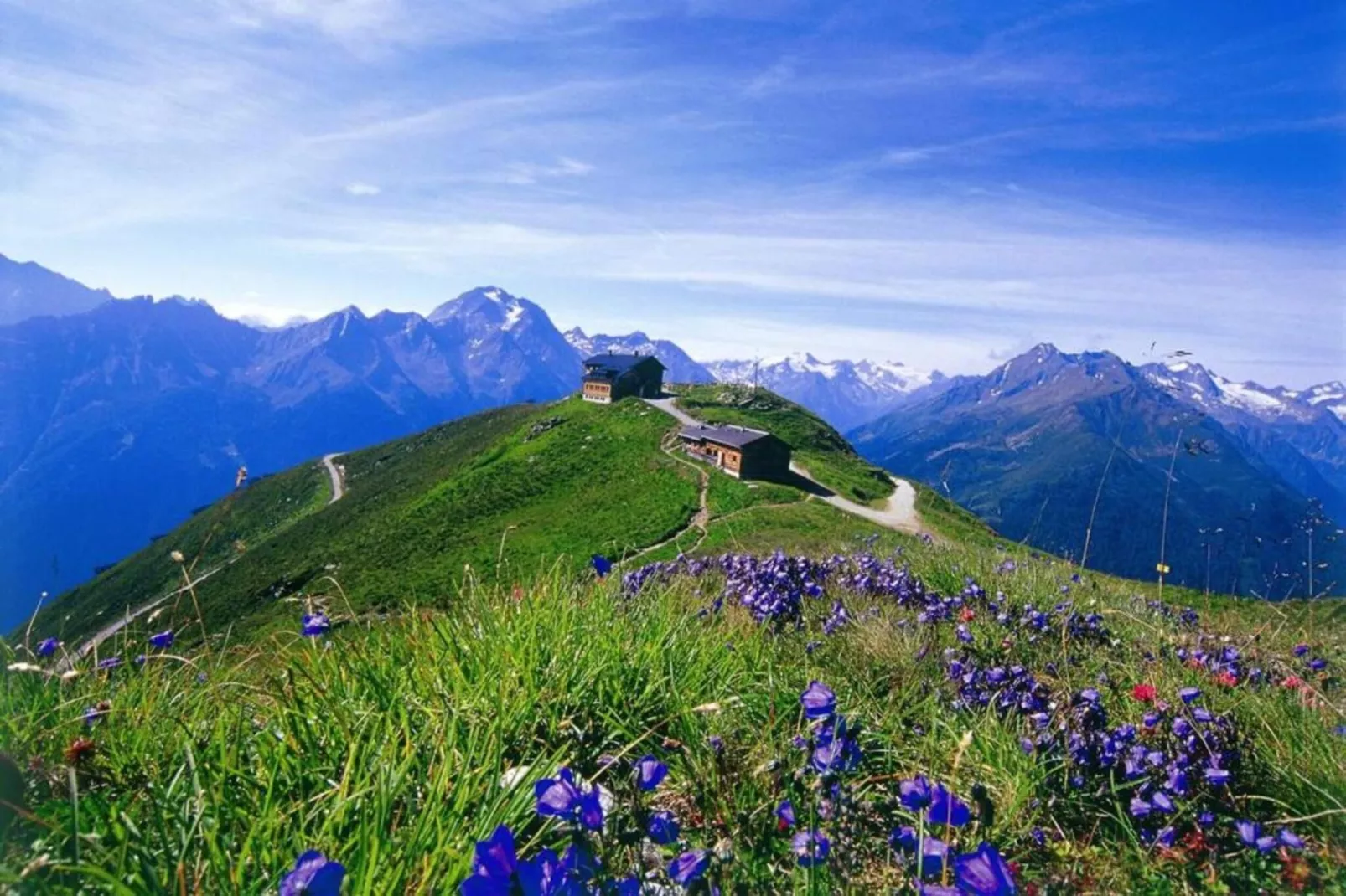 Ferienwohnung Jutta-Gebieden zomer 20km