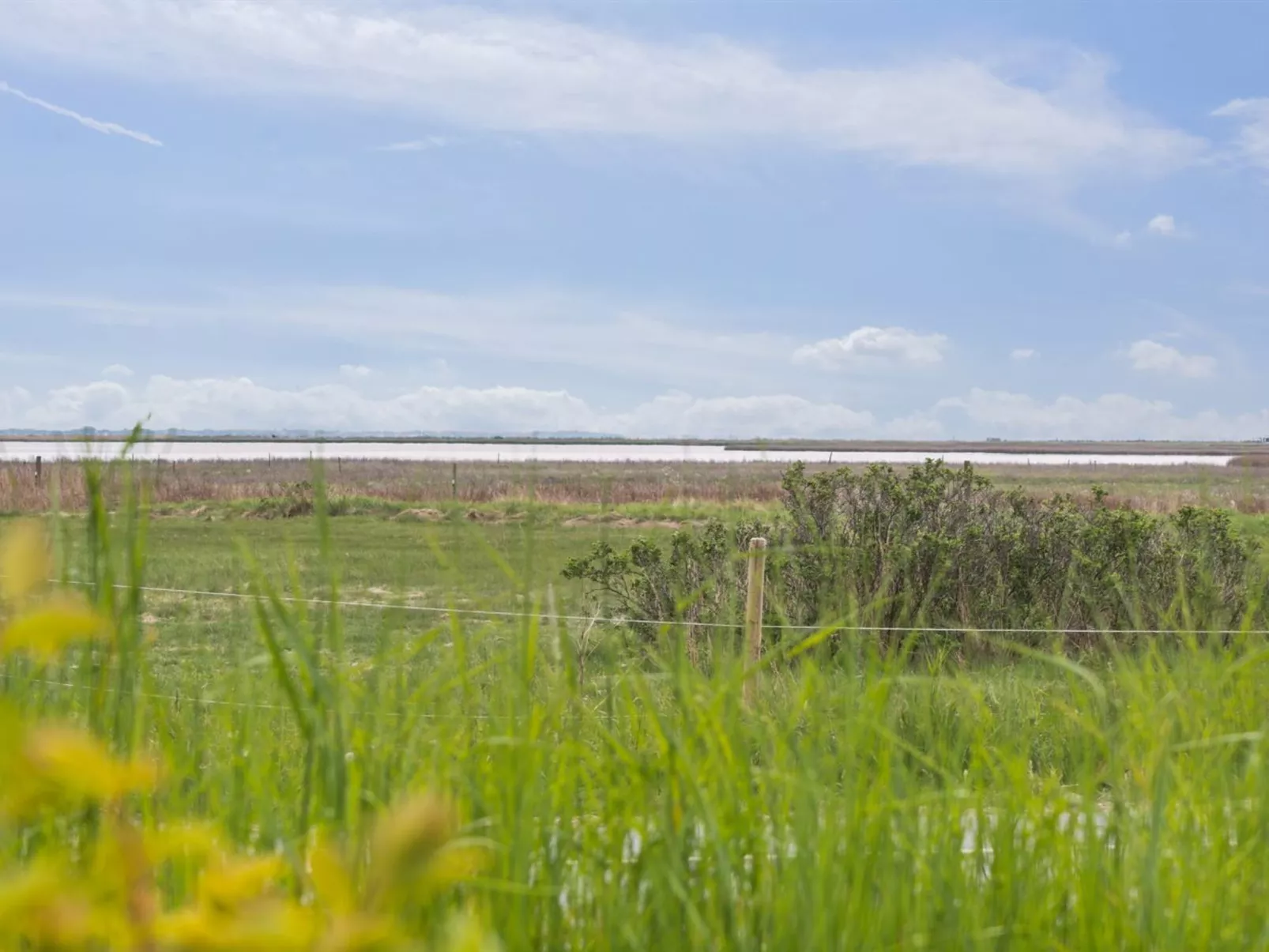 "Hjalmine" - 225m from the sea-Buiten