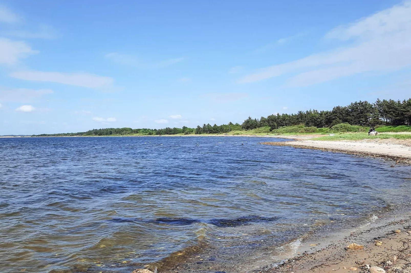 6 Personen vakantie huis in Spøttrup-Waterzicht