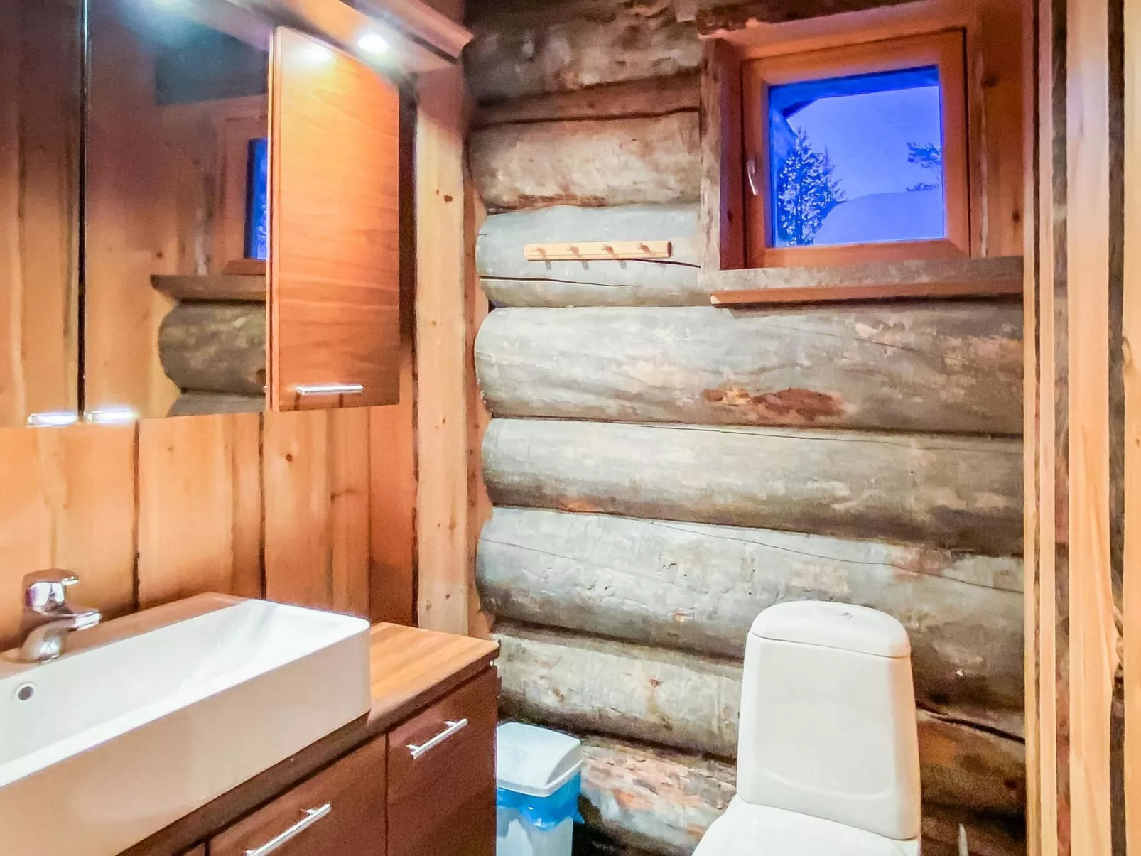 Riekonkätkä-Binnen