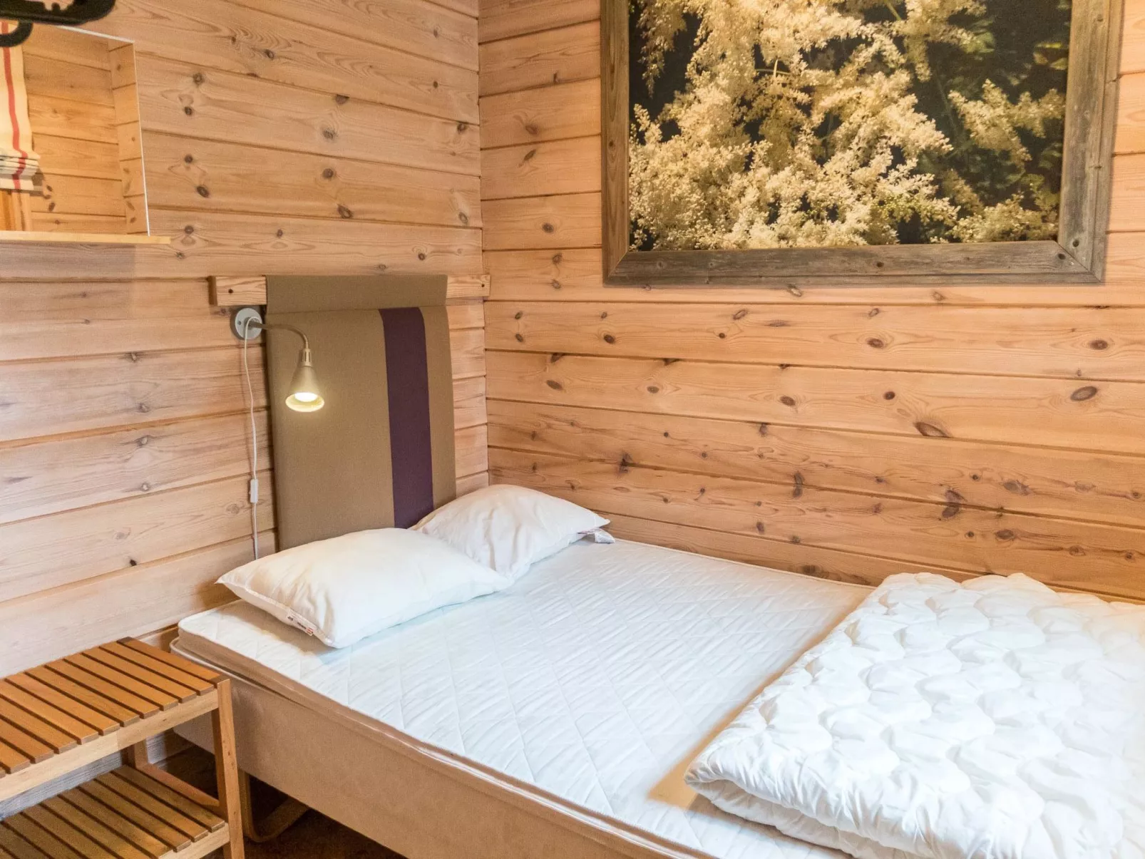 Villa koira nr3-Binnen