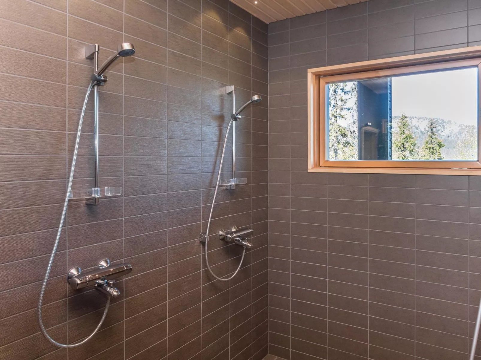 Holy lake rantasauna-Binnen