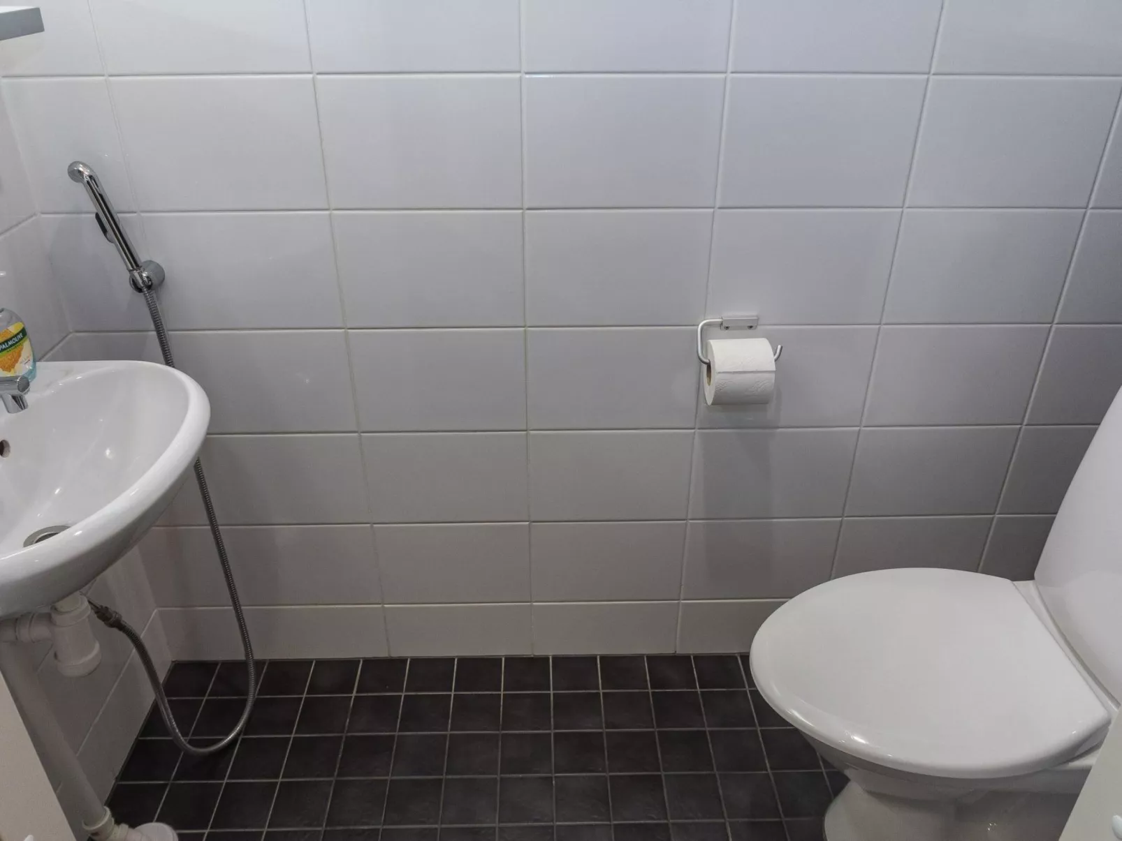 Ruka ski chalets 46, 1207-Binnen