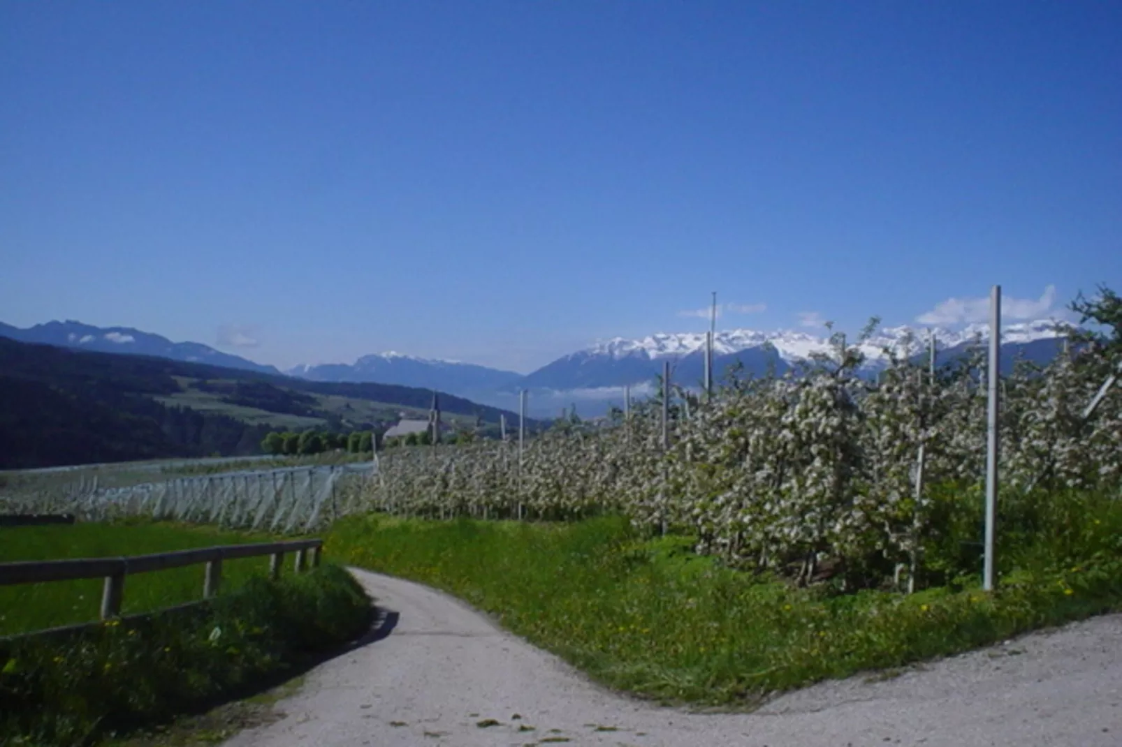 Renetta Mansarda-Gebieden zomer 5km