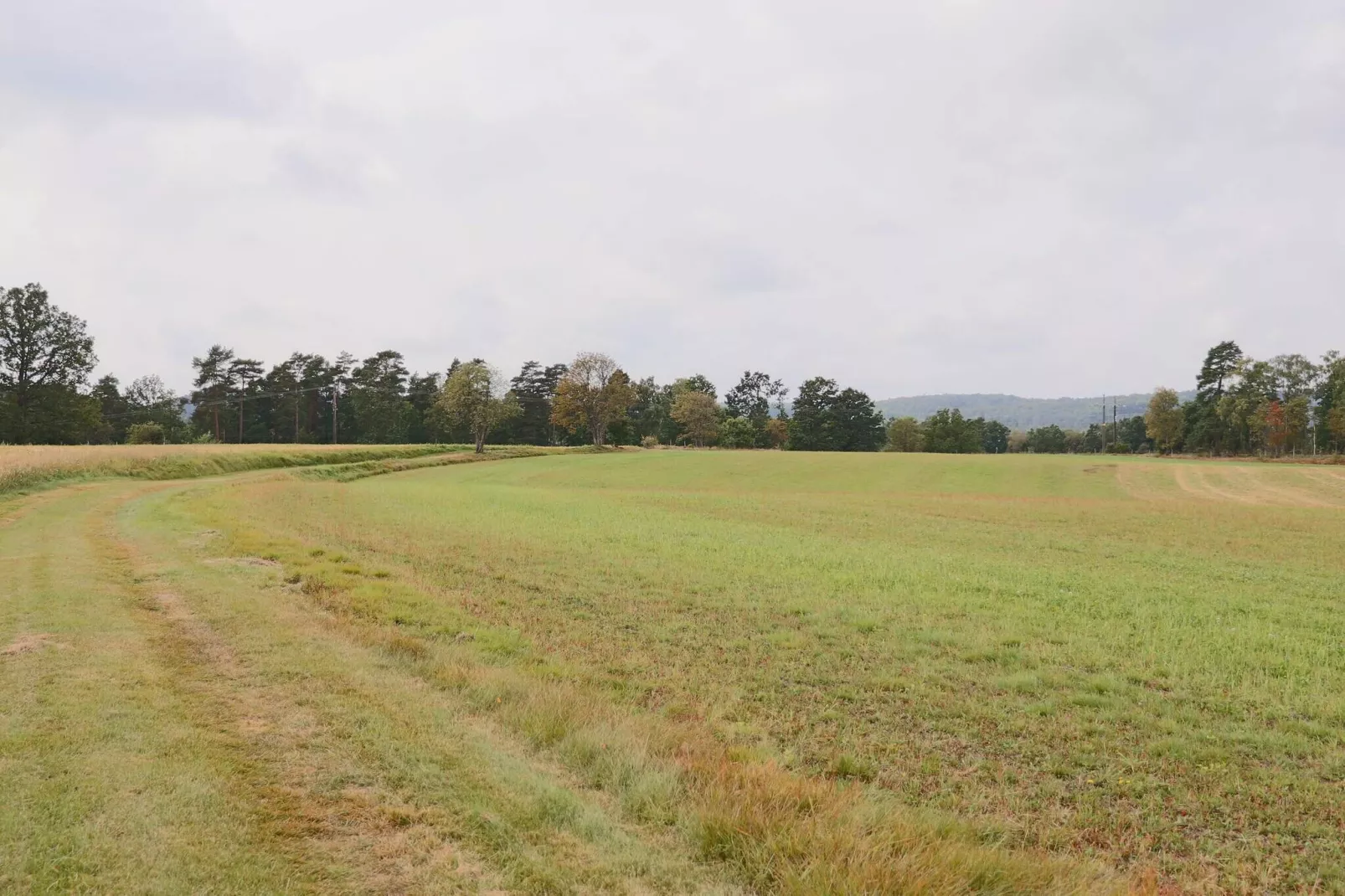 4 Personen vakantie huis in TORUP-Buitenlucht