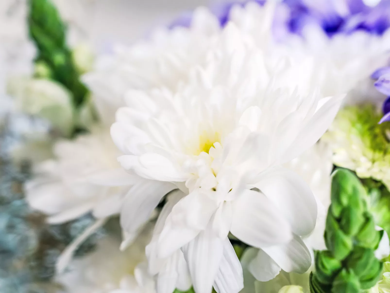 Pine Needle Lodge-Binnen