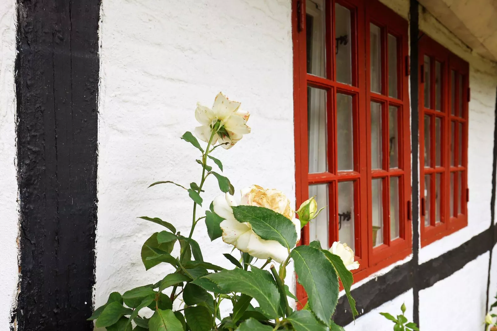 6 persoons vakantie huis in Bagenkop-Uitzicht