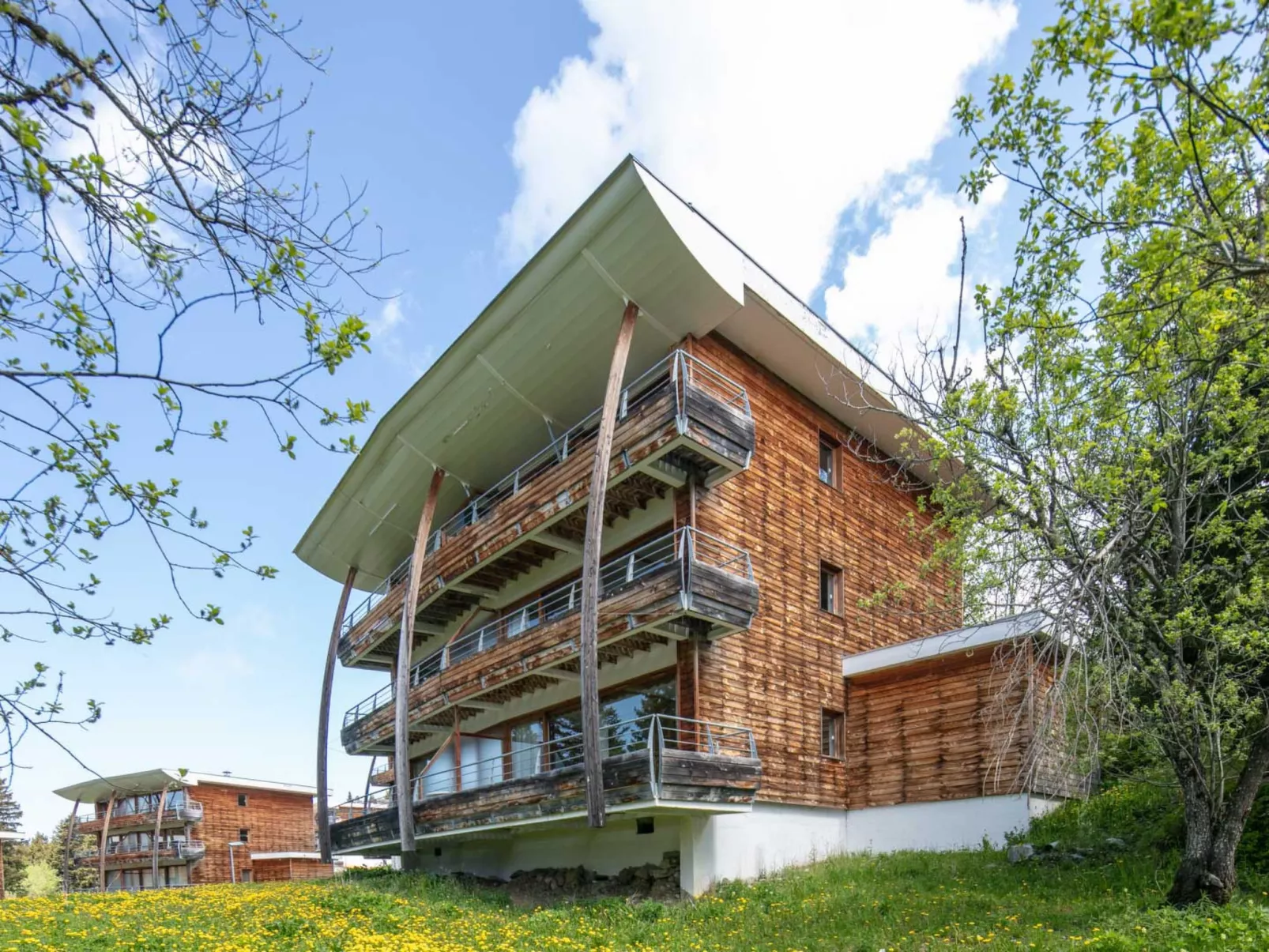 V du Bachat Asters E-Buiten