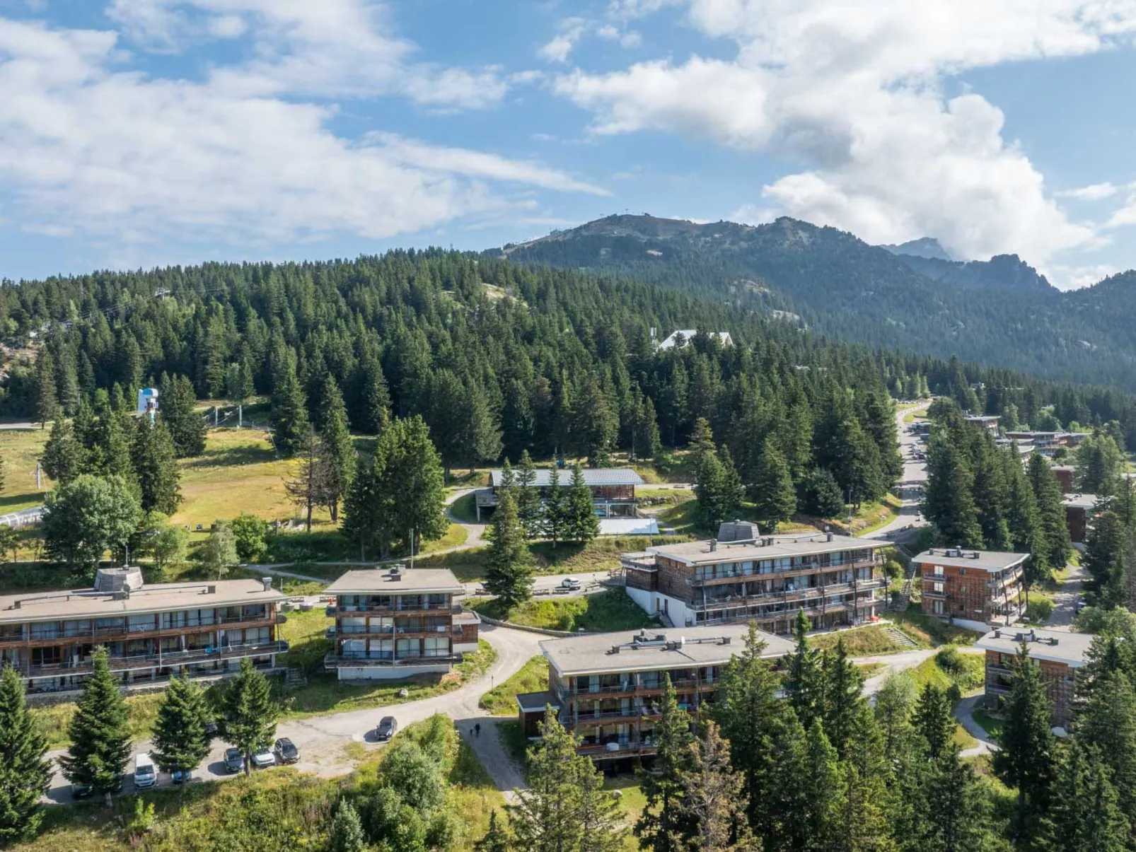 V du Bachat Melezes E-Binnen