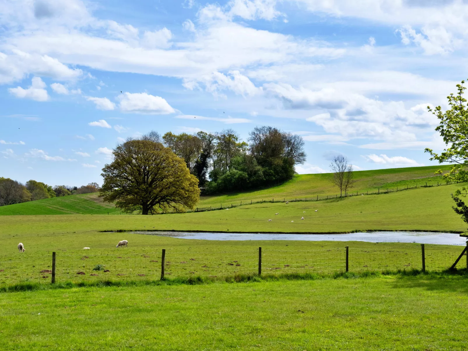 Hay and Hedgerow Glamping-Buiten