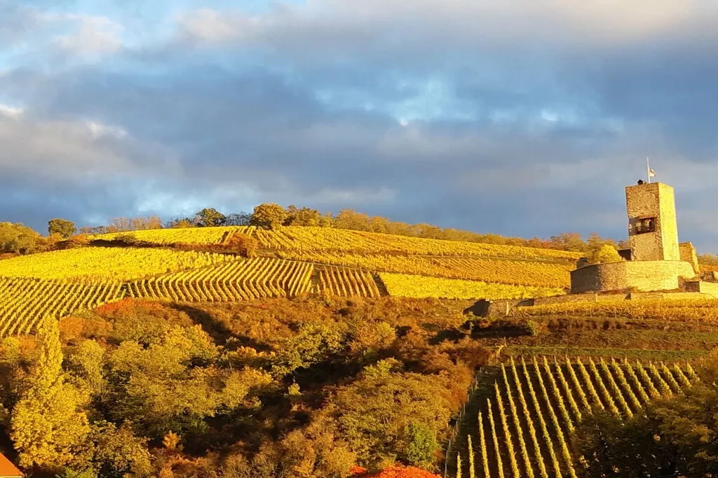 479485 - Niet-getagd