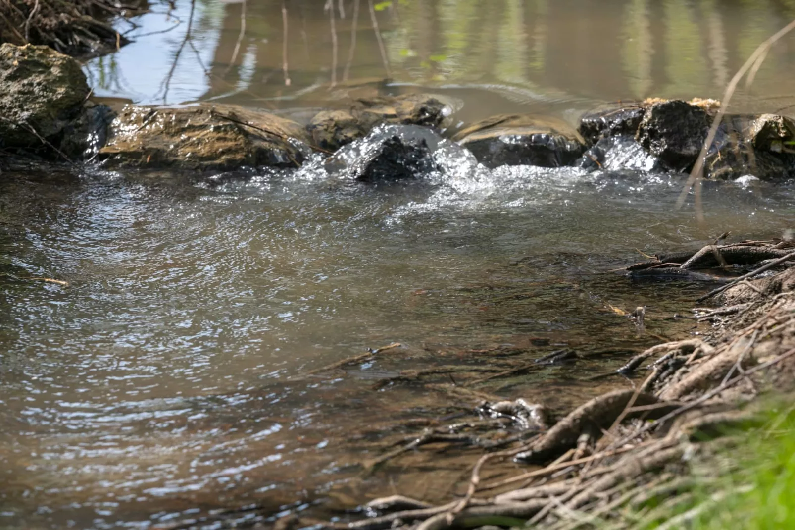 Robinzonski Kamp Hofman - Private Bungalow-Buitenlucht