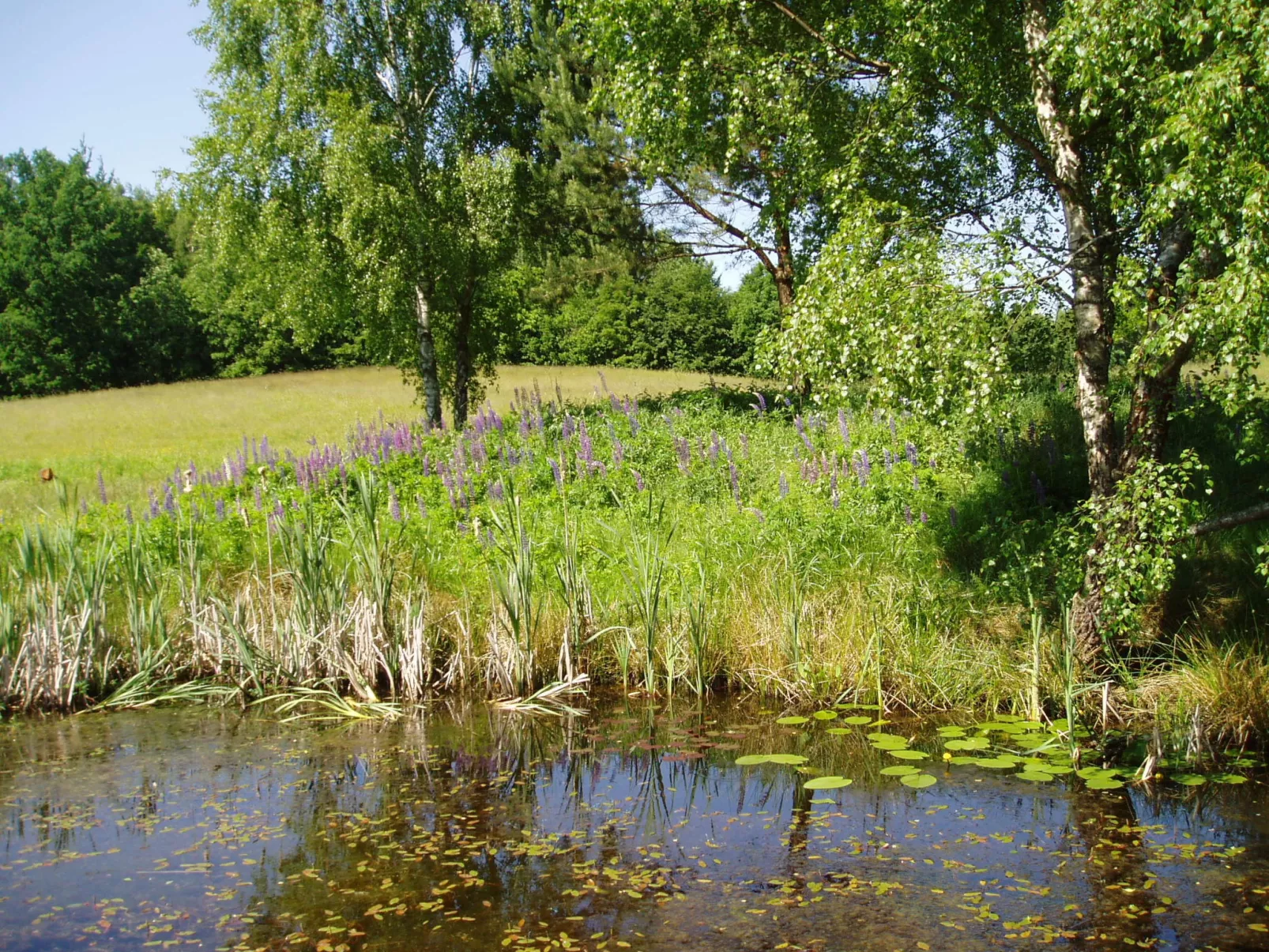 Sianowska Huta-Buiten