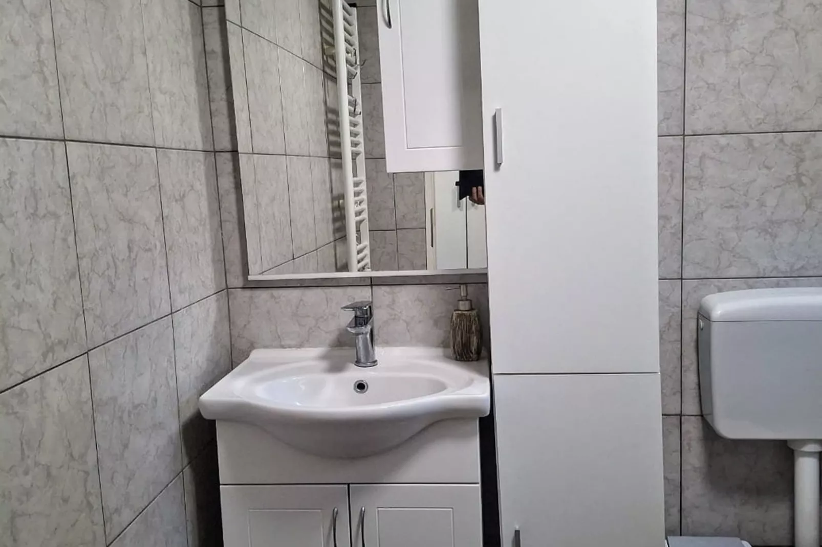 Apartments Boris Donji Karin - One Bedroom Apartment (Classic Apartment)-Badkamer