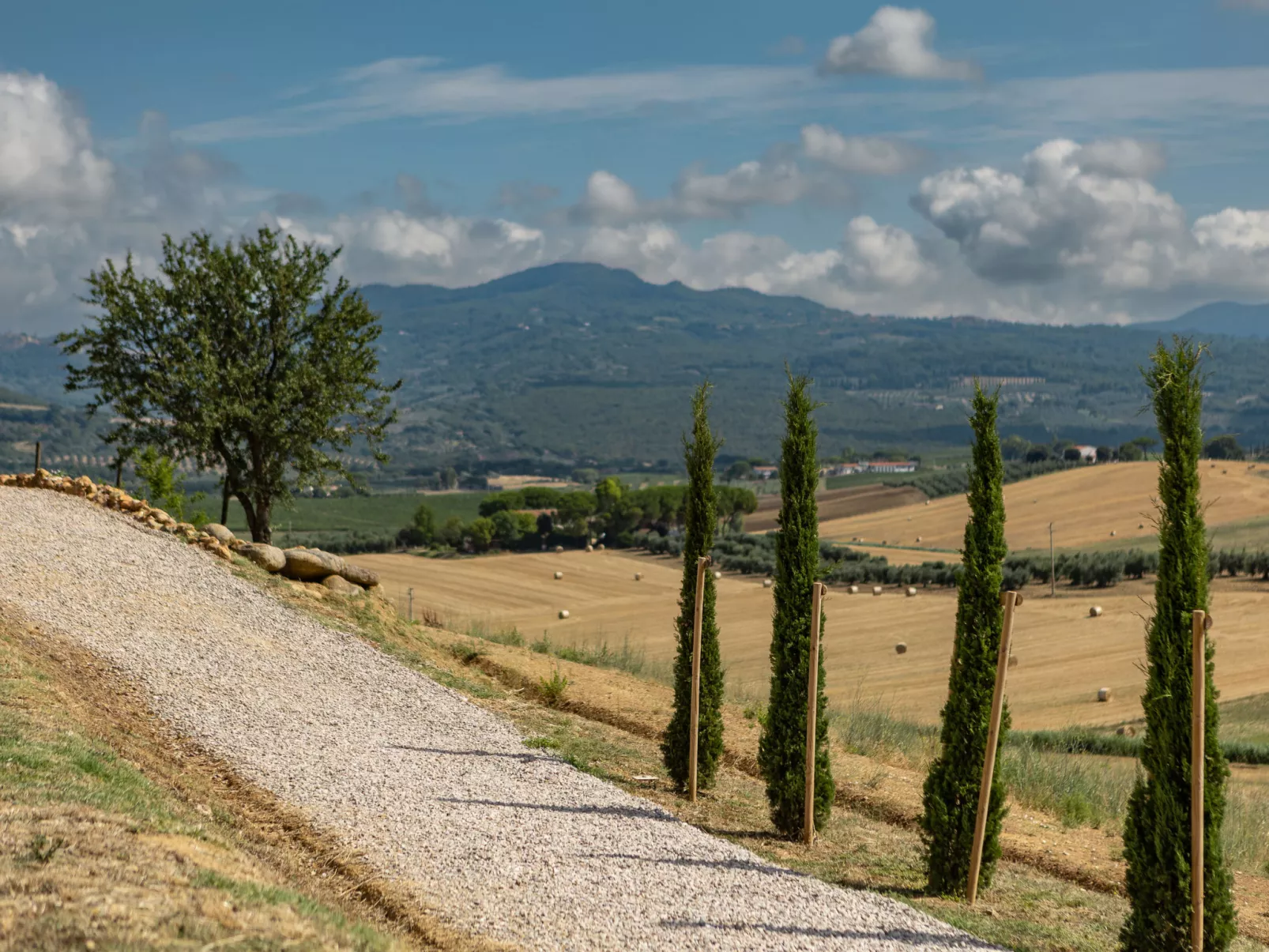 Poggio Piero 1-Buiten
