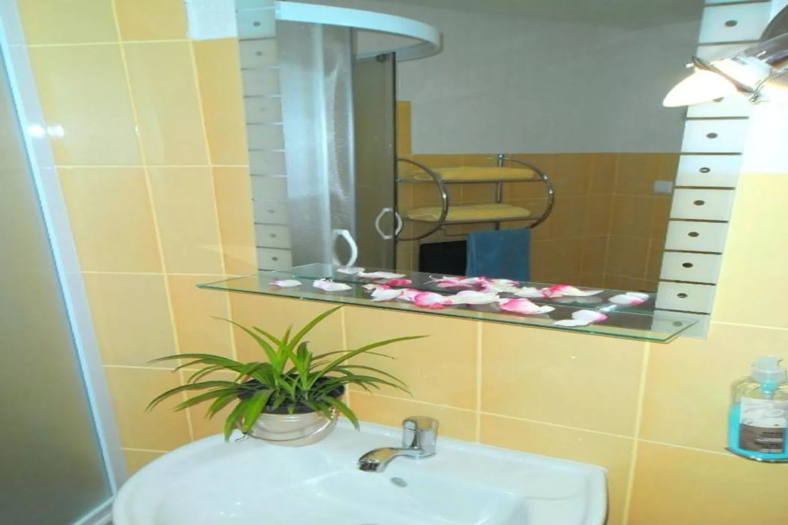 Charming Apartments Kestenovi Dvori - Studio Apartment (A6)-Badkamer