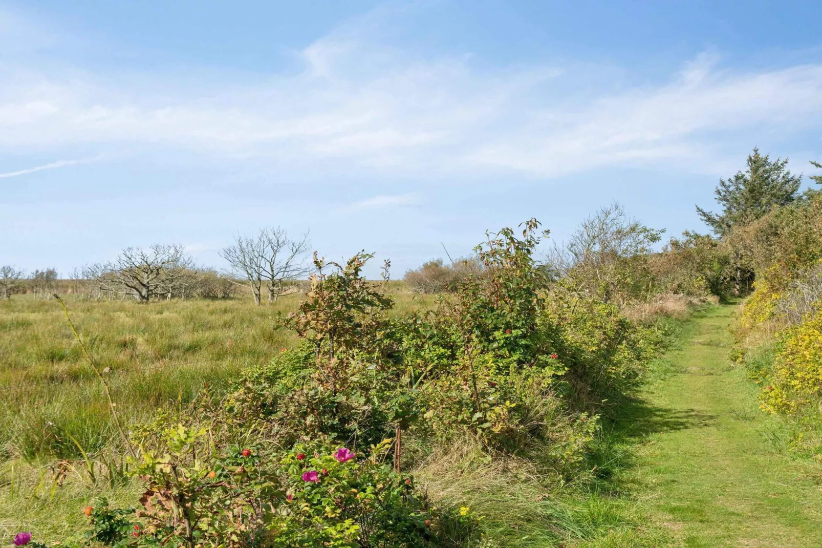 5 sterren vakantie huis in Skjern-Buitenlucht